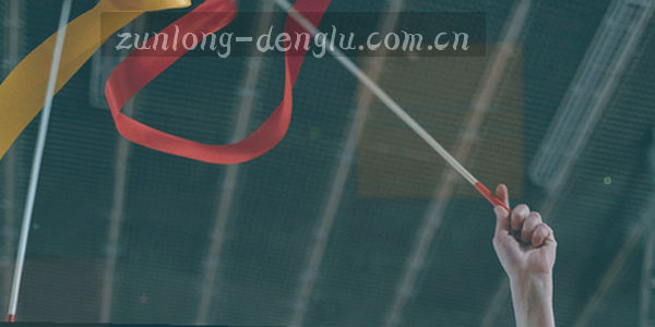 尊龙登录入口资质认证集合轮廓图标